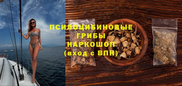 твердый Дмитриев