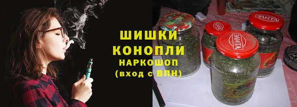 индика Ростов