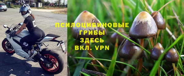индика Ростов
