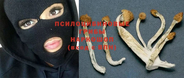 спиды Дмитров