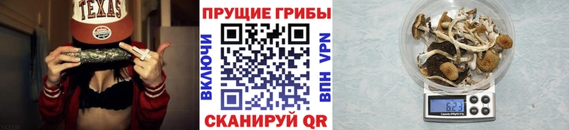 маркетплейс как зайти  Сольвычегодск  Галлюциногенные грибы ЛСД  закладки 